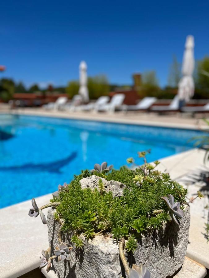 Gorana Apartman With Swimming Pool Apartment Jelsa  Exterior photo