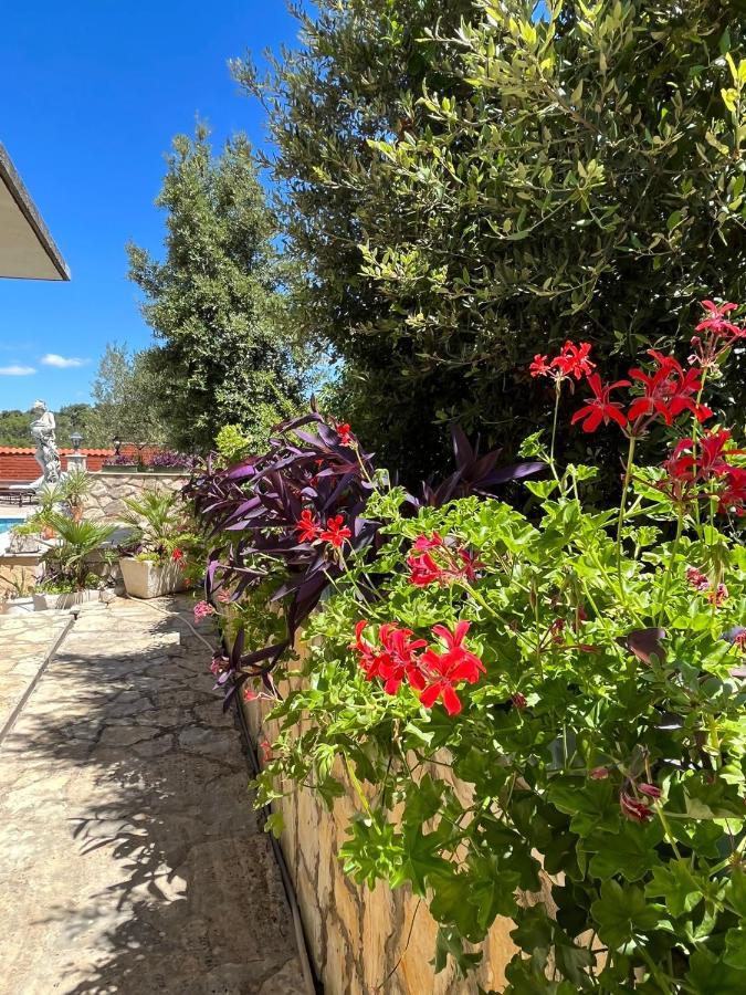 Gorana Apartman With Swimming Pool Apartment Jelsa  Exterior photo